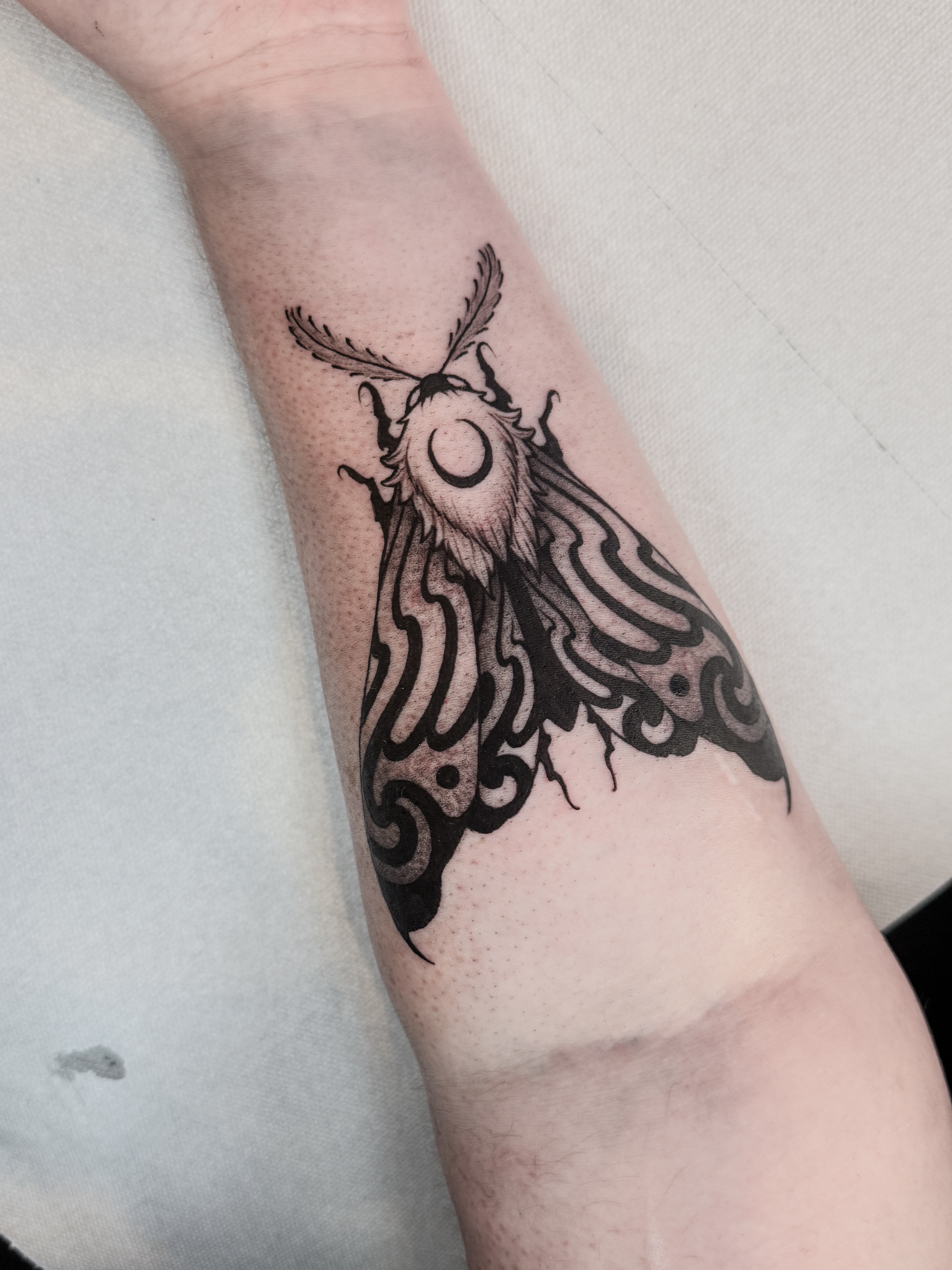 Tatouage blackwork d'un papillon de nuit d'inspiration néo-japonaise, avec motif de flammes sur les ailes, réalisé sur l'avant-bras.